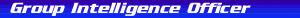 Group Intelligence Officer