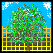 Holodeck