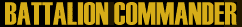 Battalion Commander