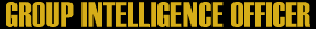 Group Intelligence Officer